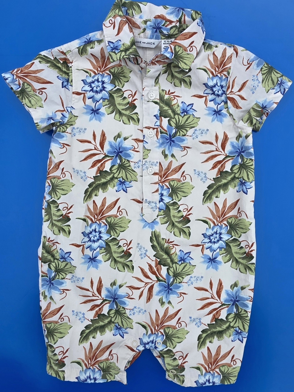 Janie and Jack Blue & Green Floral Romper